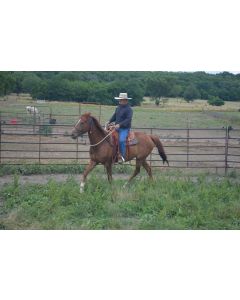 Tom Lamprey Saddle Blog